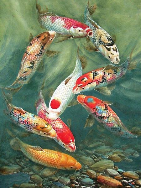 Feng Shui Koi Fish