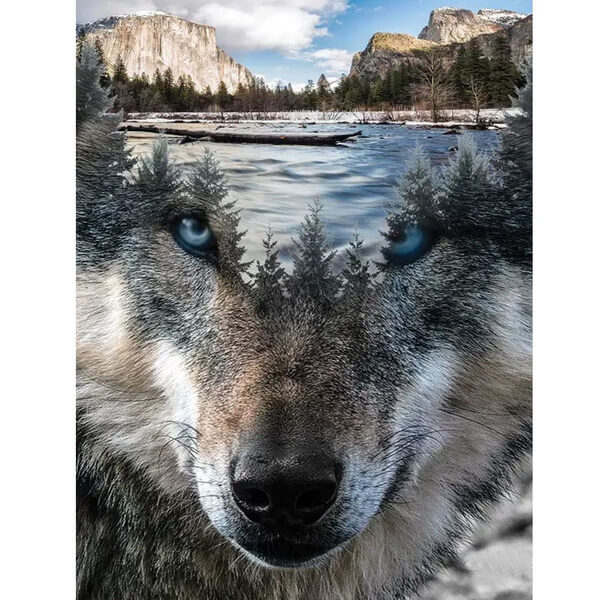 Yosemite National Park Wolf Diamond Painting Kits Full Drill – OLOEE