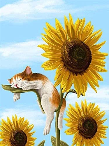 Cat On Sunflower