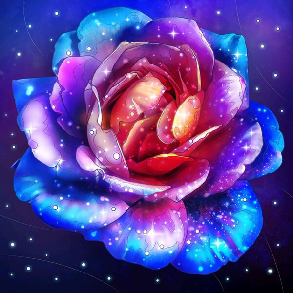 Beautiful Galaxy Rose