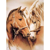 Couple Horses In Love