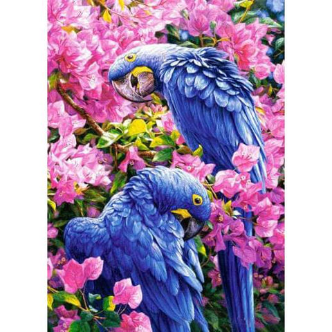 Diamond Painting Two Parrot Animal - OLOEE