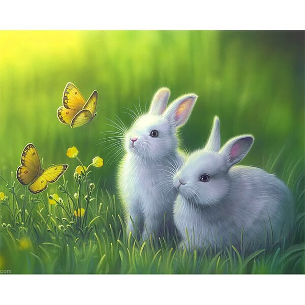 Diamond Painting Butterfly And White Rabbit Animal - OLOEE
