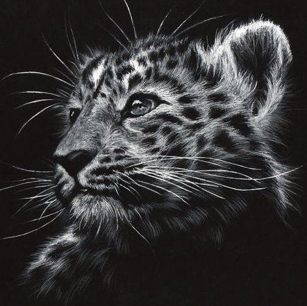 Diamond Painting Leopard Head - OLOEE