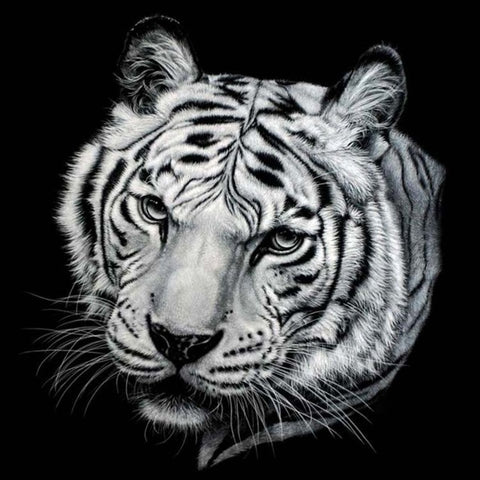 Diamond Painting Black And White Tiger Painting - OLOEE