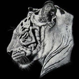 Diamond Painting Tiger Animal Art - OLOEE