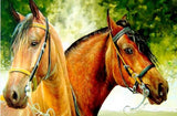Diamond Painting Two Brown Horses - OLOEE