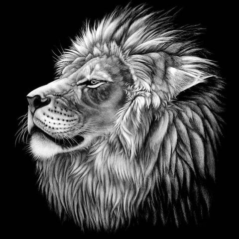 Diamond Painting Lion Animal - OLOEE
