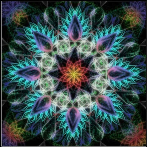 Diamond Painting Mandala Coloring - OLOEE